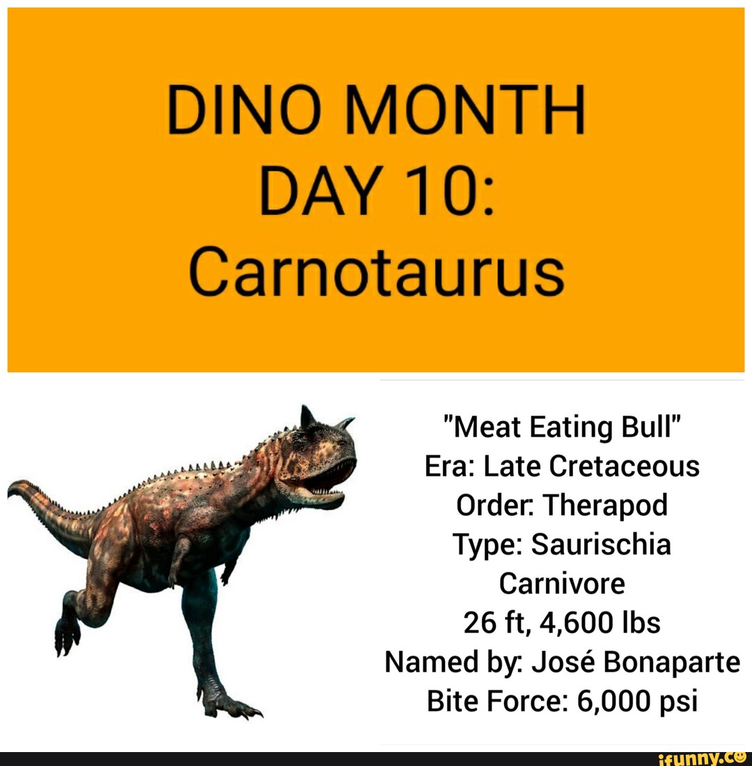 DINO MONTH DAY 10: Carnotaurus "Meat Eating Bull" Era: Late Cretaceous ...