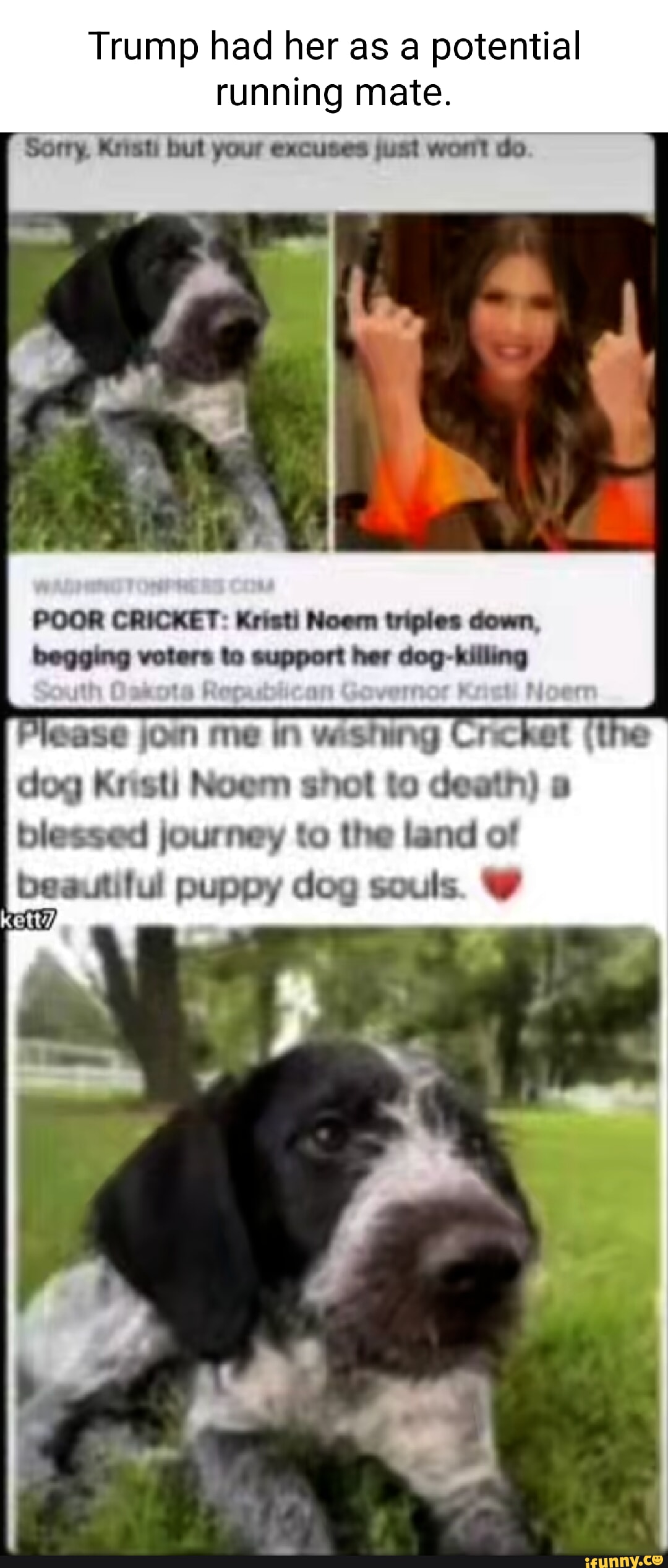 Noem memes. Best Collection of funny Noem pictures on iFunny