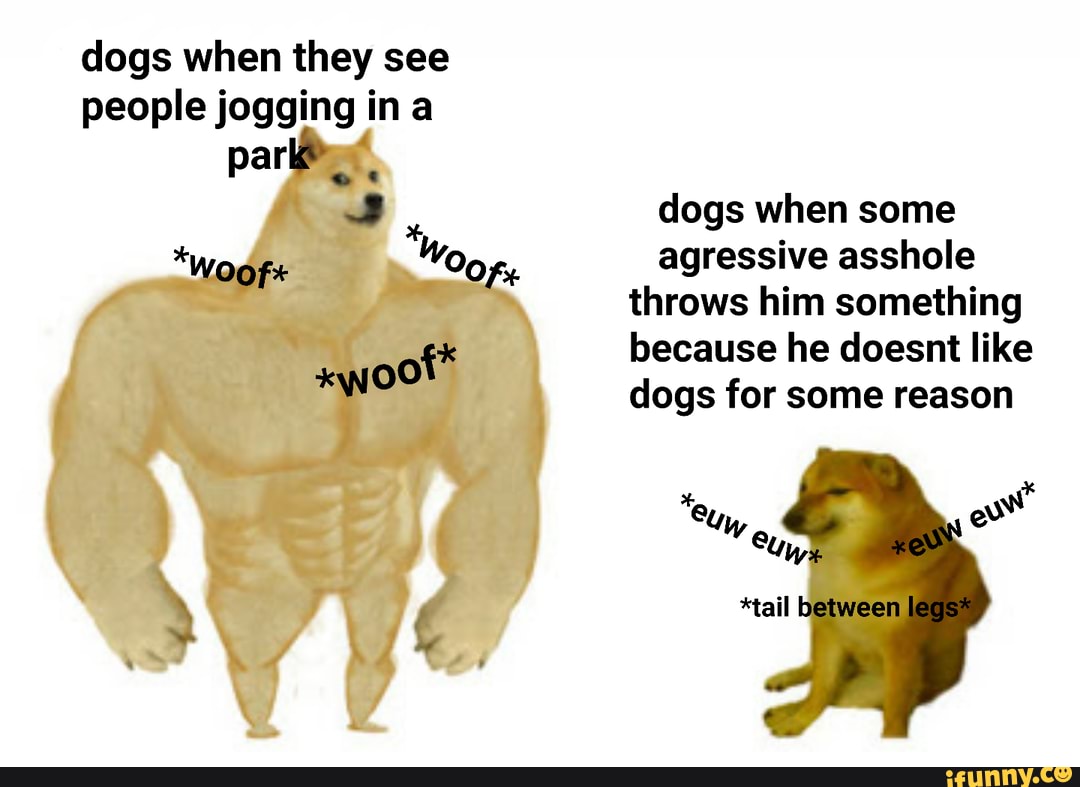 dogs when they see people jogging ina
dogs when some
agressive asshole throws him something because he doesnt like dogs for some reason