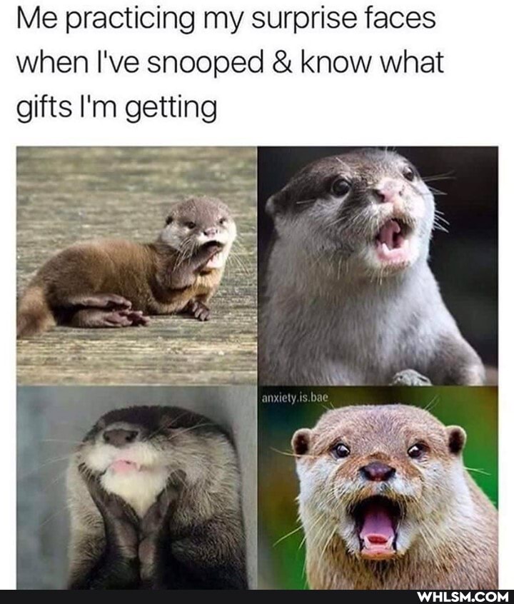 Me practicing my surprise faces when I've snooped & know what gifts I'm getting