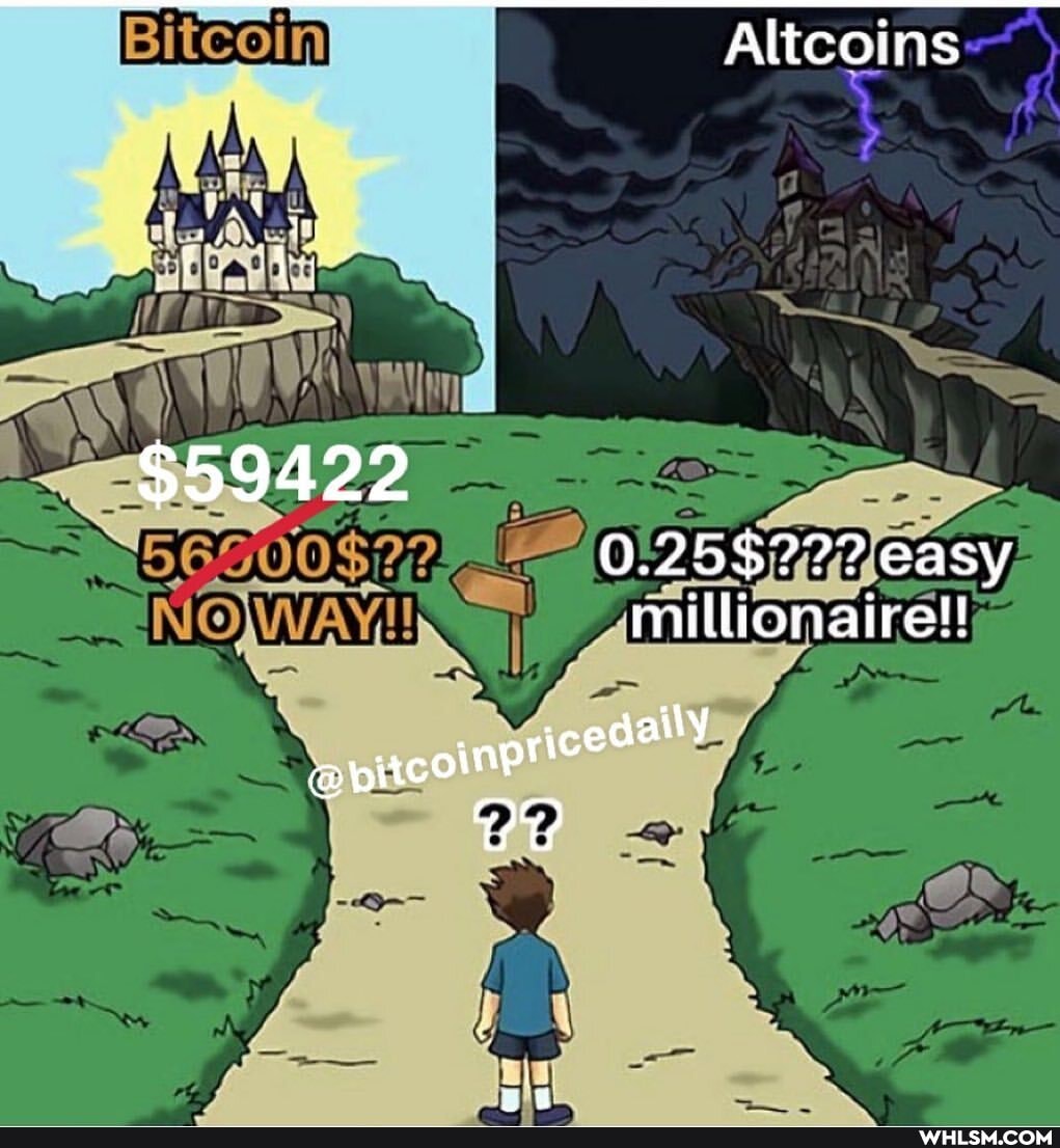 IN
Al
~EN
_ WOWA
= =
millionaire!
pricedally
easy