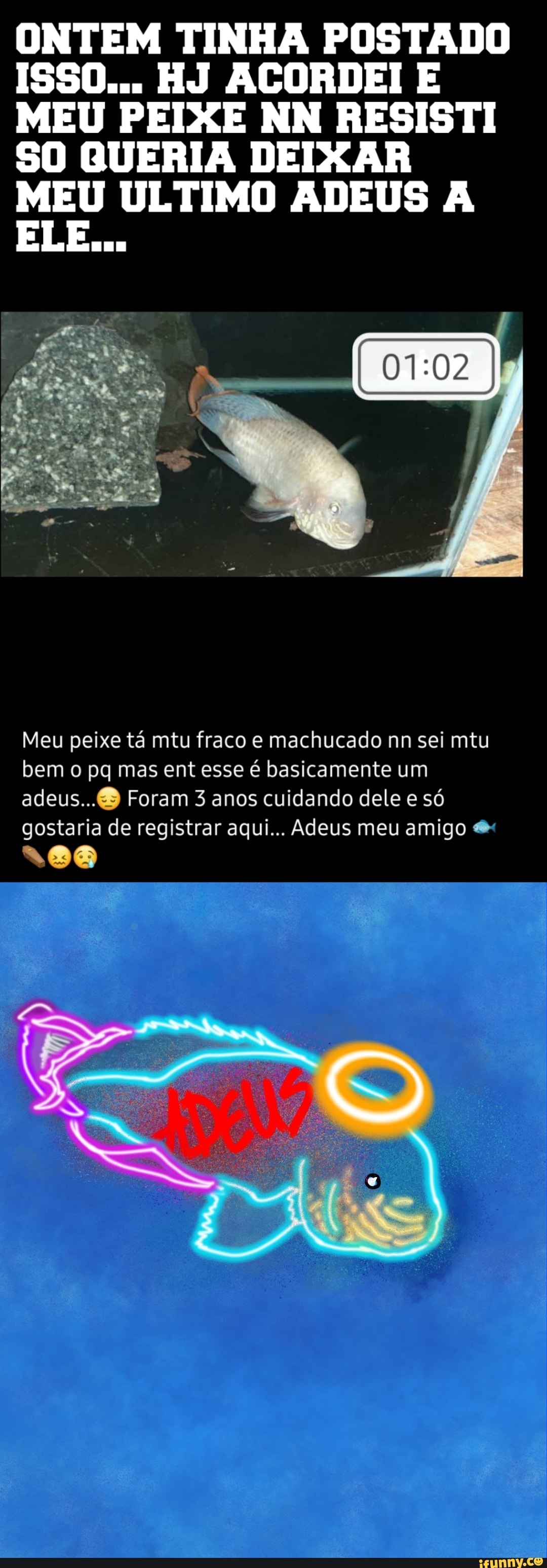 ONTEM TINHA POSTADO ISSO... HJ ACORDEI E MEU PEIXE NN RESISTI SO QUERIA DEIXAR MEU ULTIMO ADEUS A
ELE...
Meu peixe tá mtu fraco e machucado nn sei mtu bem o pq mas ent esse é basicamente um adeus... Foram 3 anos cuidando dele e só gostaria de registrar aqui... Adeus meu amigo