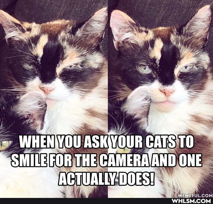 WHEN OU ASKIYOUR GATS TO ONE
THE CAMERA'AND ONE ACTUALLY DOES!,