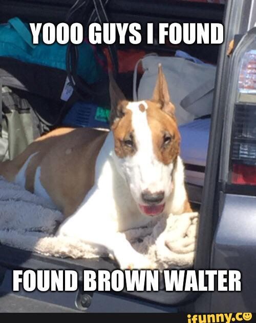 YO00 GUYSI rounn))/
FOUND BROWN WALTER
