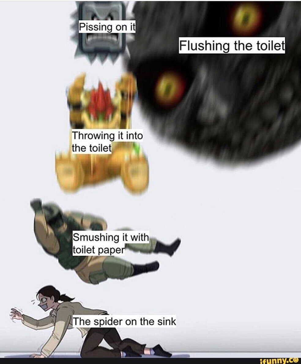 Flushing the toile
Throwing it into the toilet
Smushing it with oilet pape
AThe spider on the sink