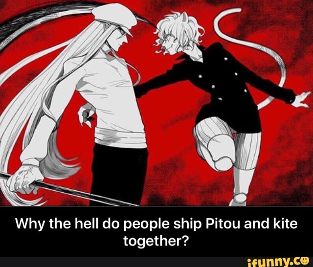 Why the hell do people ship Pitou and kite together? 