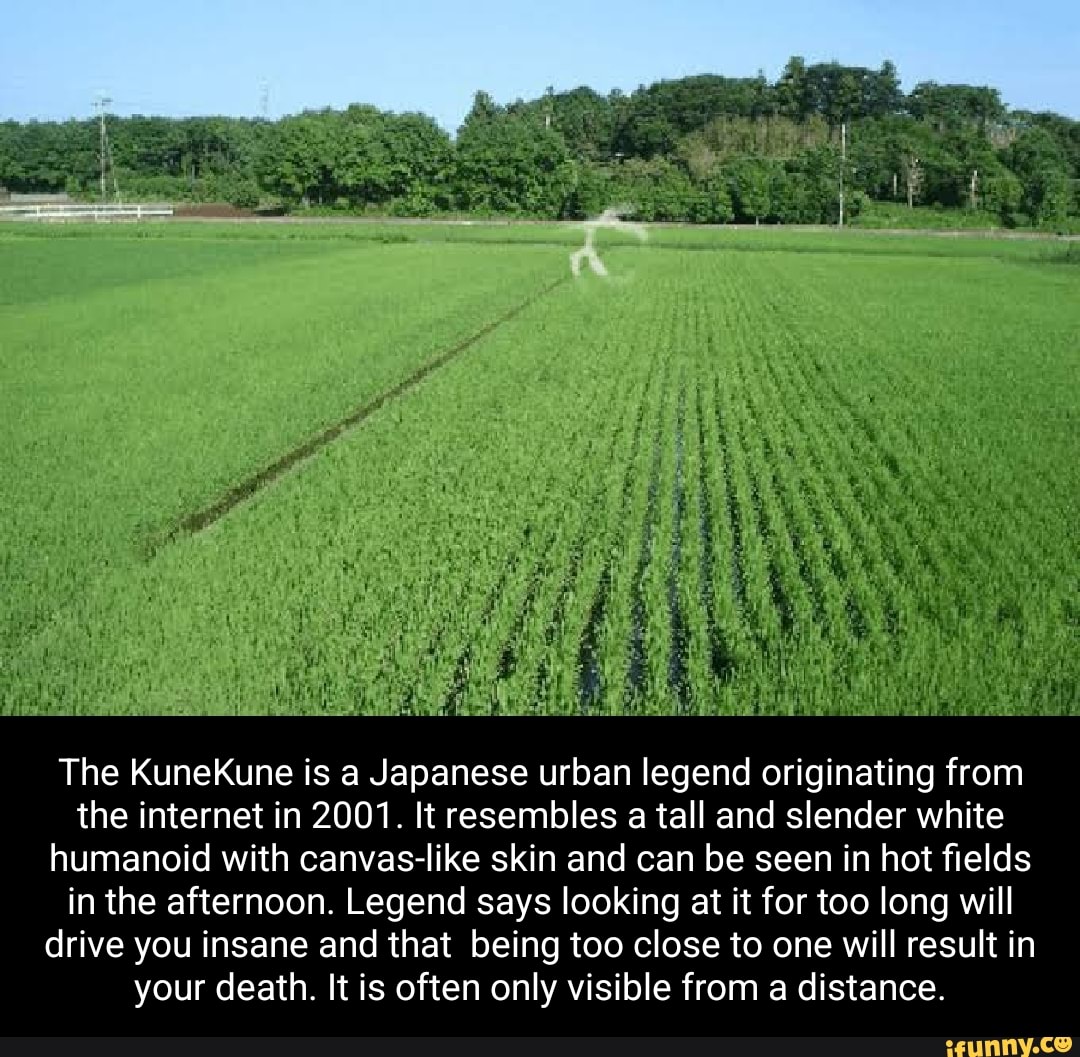 The KuneKune Is A Japanese Urban Legend Originating From The Internet 