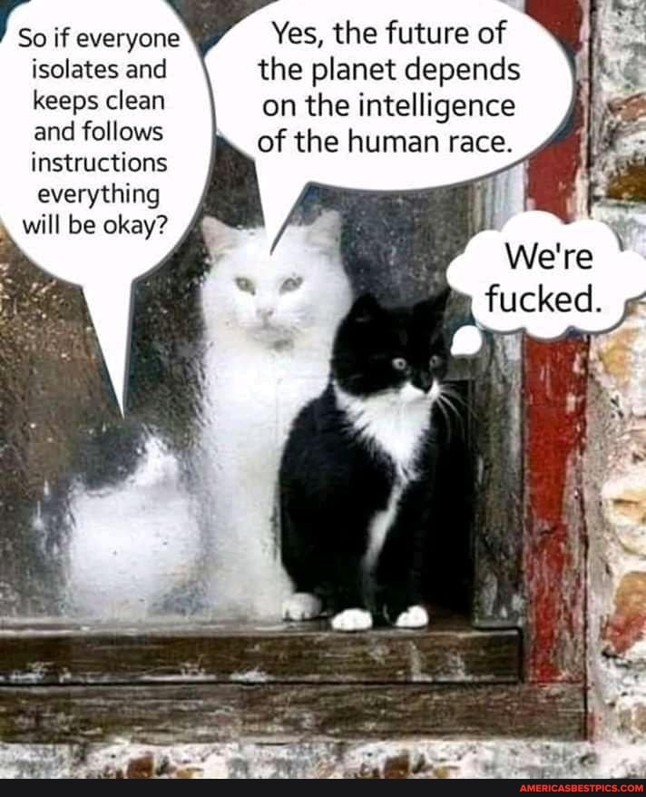 So if everyone Yes, the future of isolates and the planet depends keeps clean on the intelligence
and follows of the human race.
instructions
everything will be okay?
We're fucked.