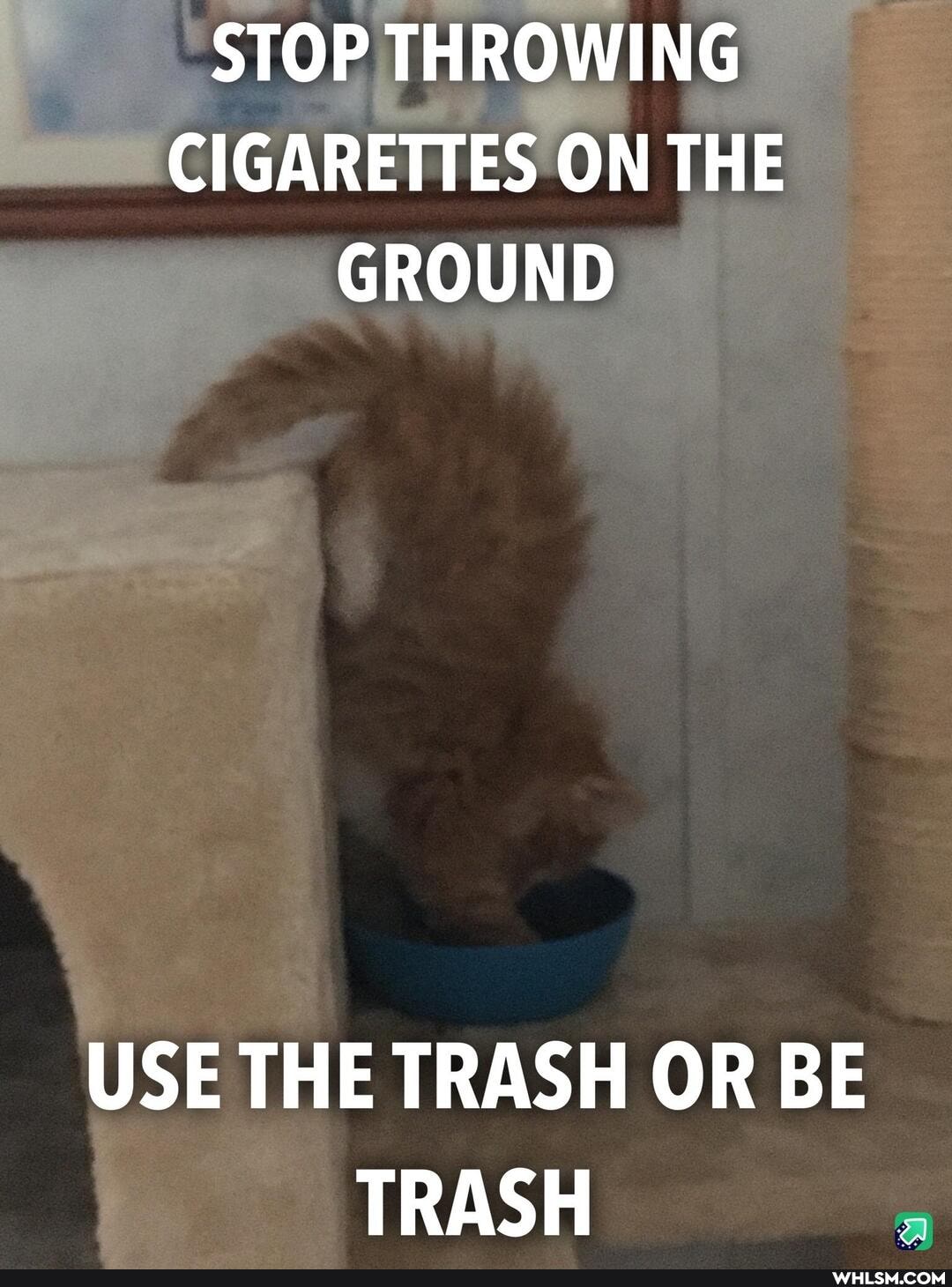 STOP THROWING CIGARETTES ON THE GROUND
USE THE TRASH OR BE TRASH