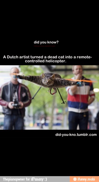 A Dutch artist turned a dead cat into a remote-
controlled helicopter.