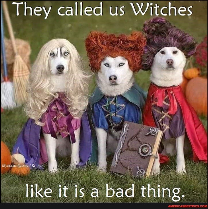 I They called us Witches
like it is a bad thing.