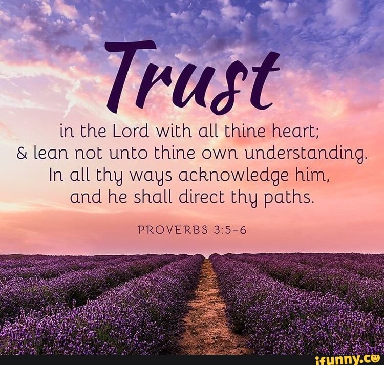 In All Thy Ways Acknowledge Him 40 Information Afiz Sheira