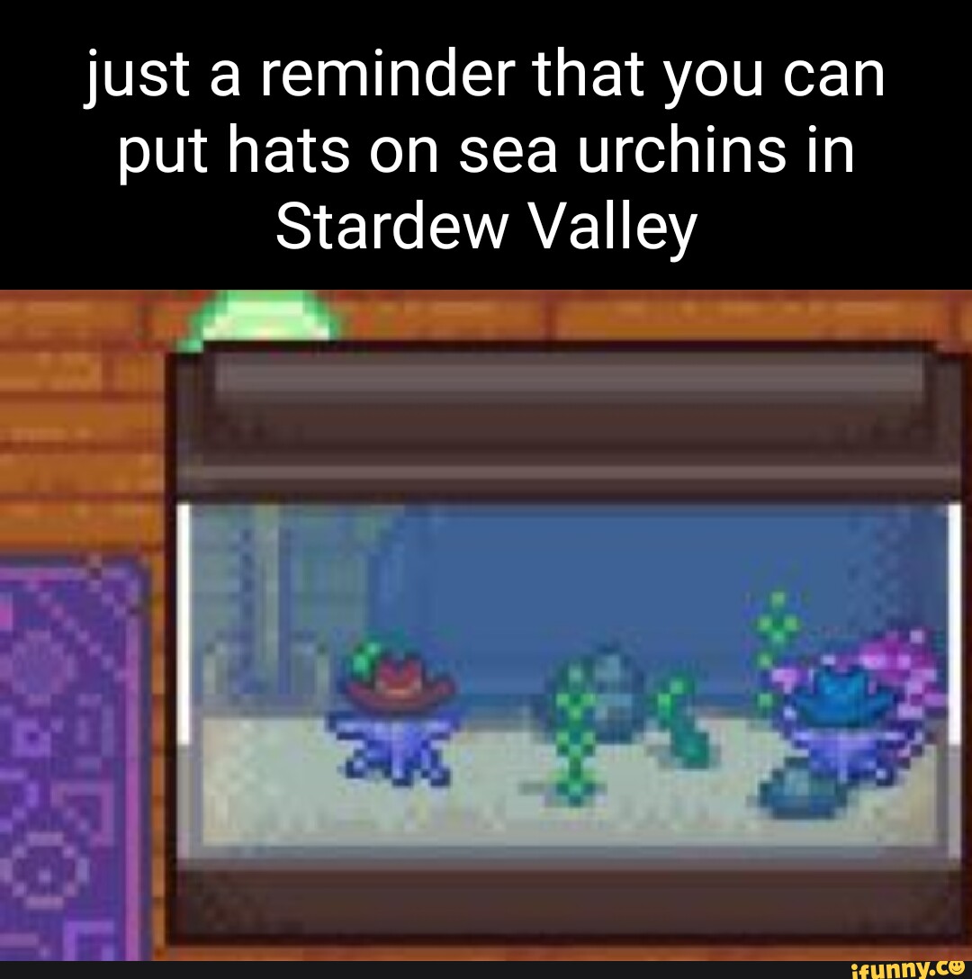 Just a reminder that you can put hats on sea urchins in Stardew Valley
