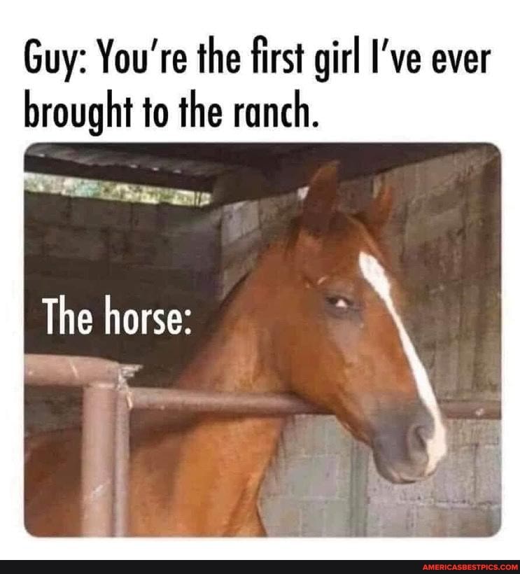 Guy: You're the first girl I've ever brought to the ranch.
The horse:
