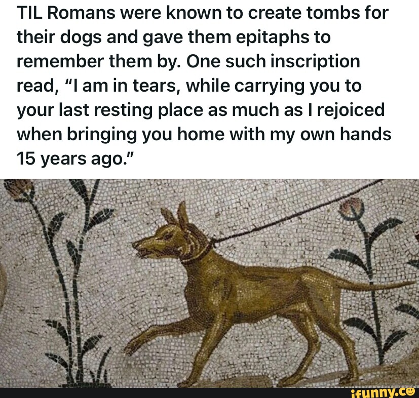 TIL Romans were known to create tombs for their dogs and gave them