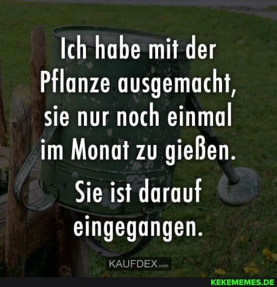 Ich habe mit der
Pflanze ausgemacht, sie nur noch einmal im Monat zu gießen.
Sie ist darauf eingegangen.
KAUFDEX