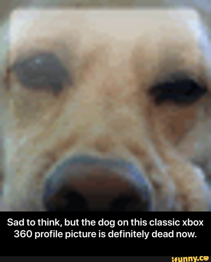Og Xbox 360 Gamerpics Dog - friendsofcolwynbay