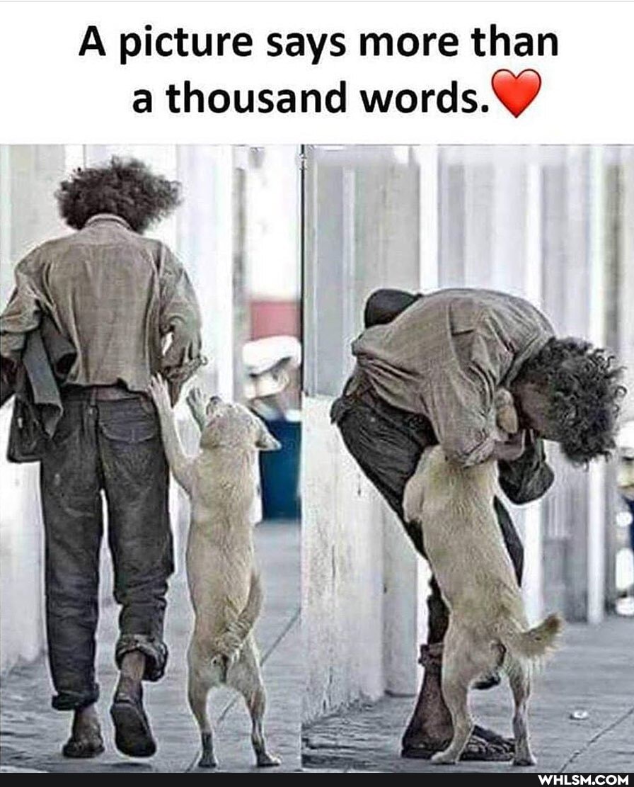 A picture says more than a thousand words.
