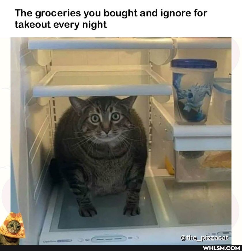 The groceries you bought and ignore for takeout every night