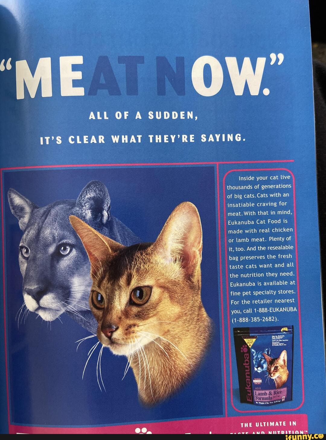 IT'S CLEAR WHAT THEY'RE SAYING. Inside your cat live thousands of