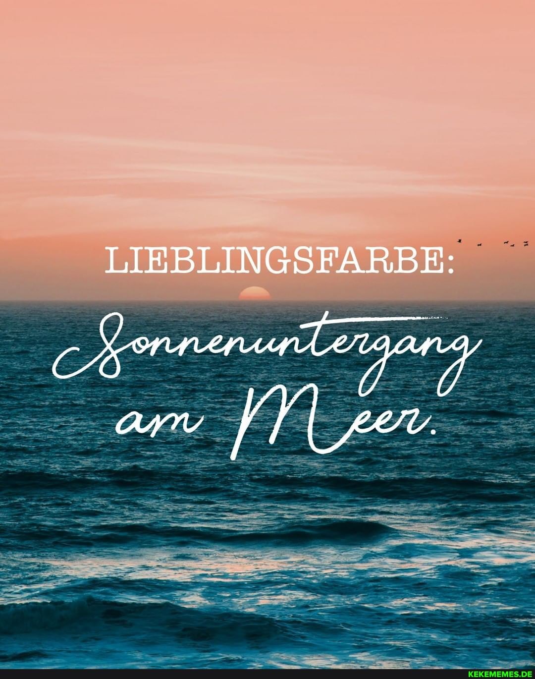 LIEBLINGSFARBE: