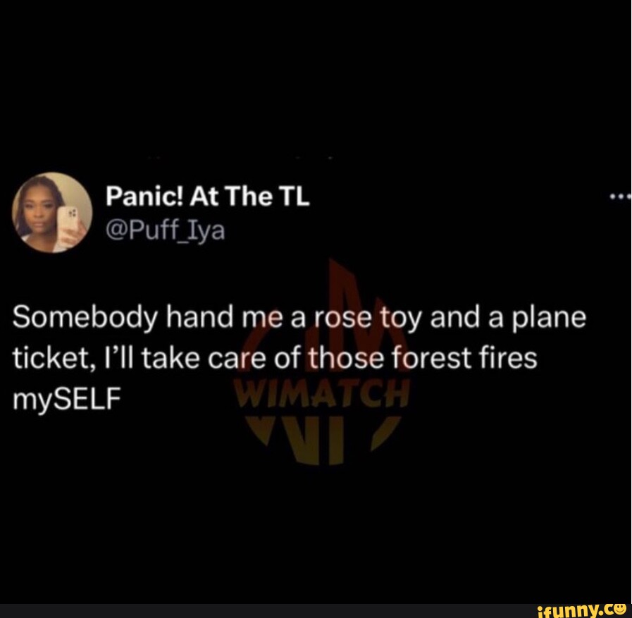 can you take a rose toy on a plane How to fly with a sex toy under TSA rules