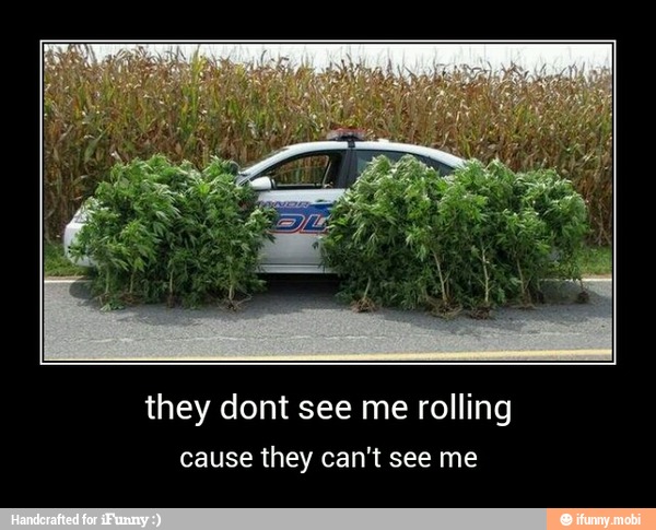 they dont see me rolling
cause they can't see me - they dont see me rolling
cause they can't see me