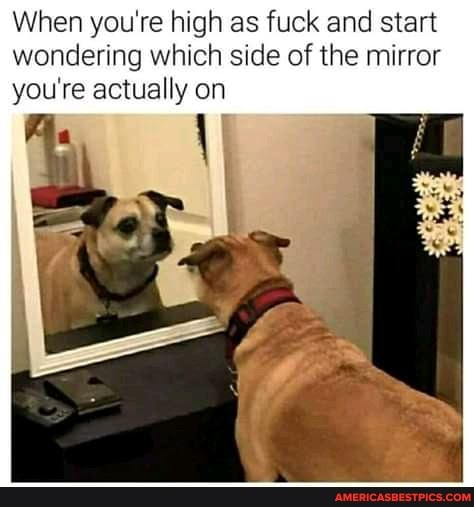 When you're high as fuck and start wondering which side of the mirror you're actually on