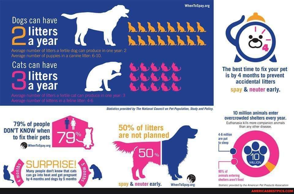 As February Spay/Neuter Awareness Month comes to an end, we just wanted