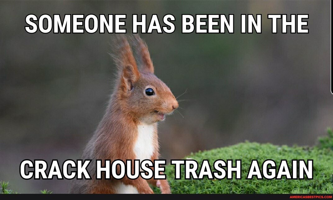 SOMEONE HAS BEEN IN THE
CRACK HOUSE TRASH AGAIN