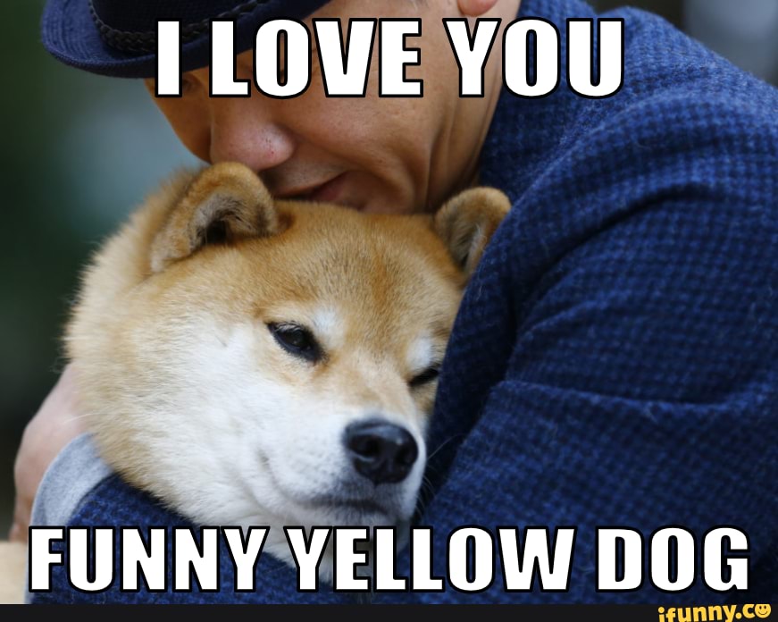 I love you Funny Yellow Dog - iFunny