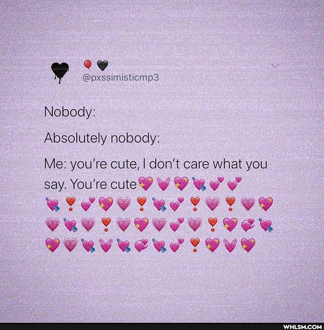 @pxssimisticmp3
Nobody:
Absolutely nobody:
Me: you're cute, I don't care what you say. You're cute&? @
IVER