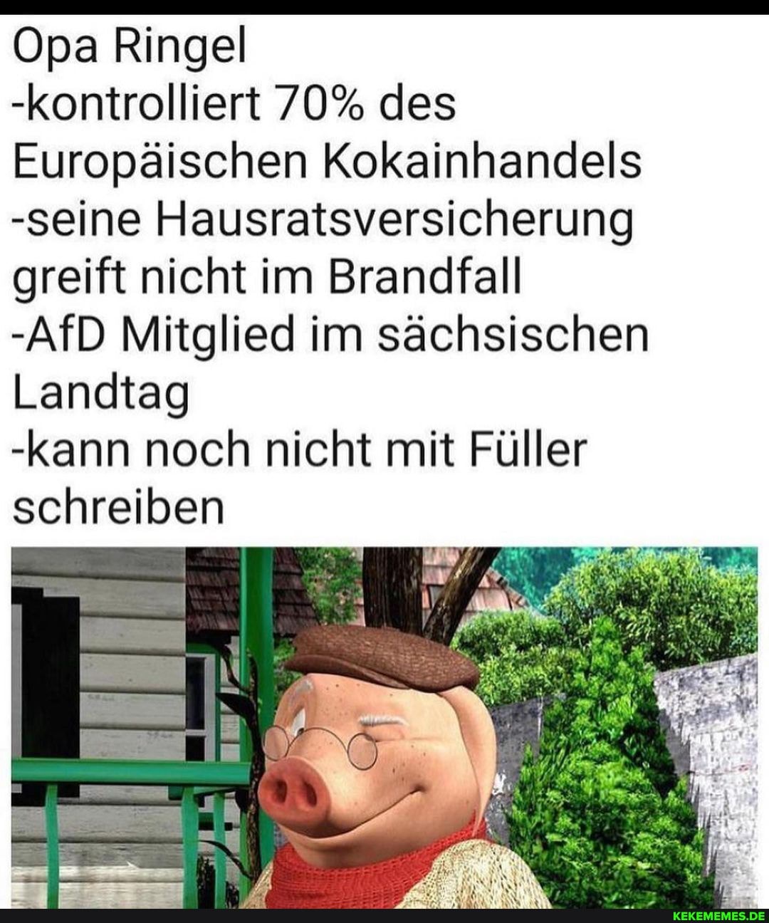Opa Ringel
-kontrolliert 70% des
Europäischen Kokainhandels
-seine Hausratsversicherung greift nicht im Brandfall
-AfD Mitglied im sächsischen
Landtag
-kann noch nicht mit Füller schreiben