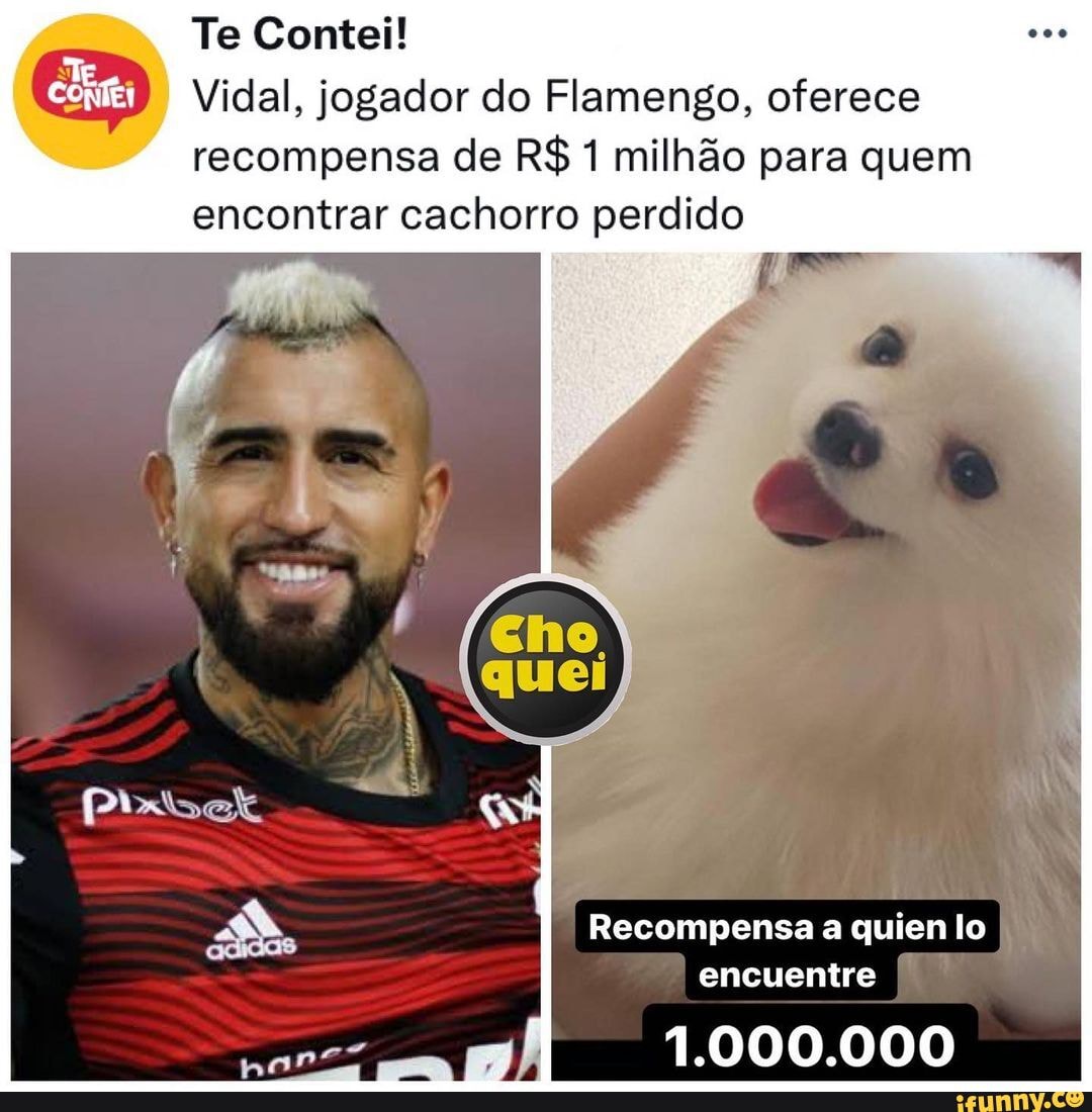 O Atleta Chileno Utilizou Seu Perfil Pessoal No Instagram Para Informar Que O Cachorro De Sua 