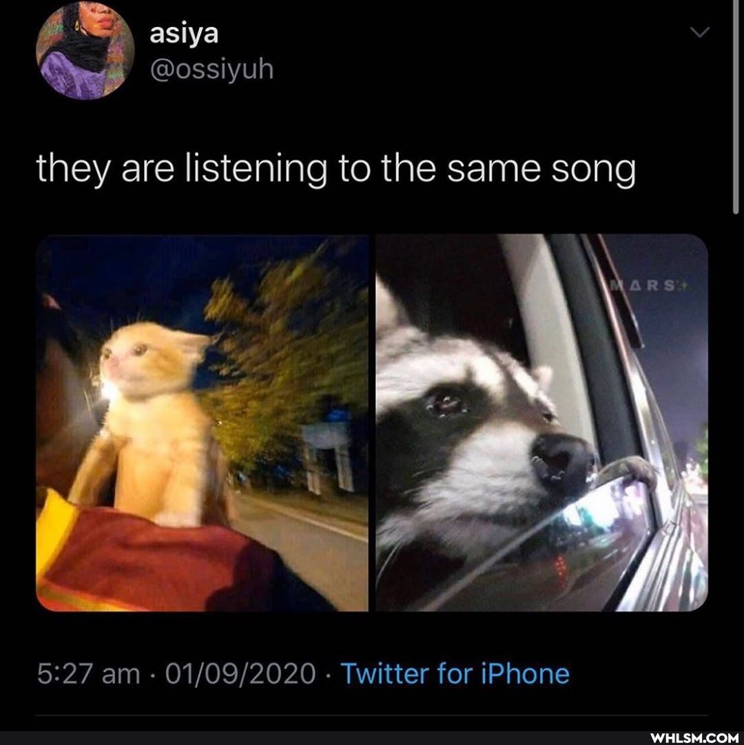 asiya
they are listening to the same song
am - - Twitter for iPhone