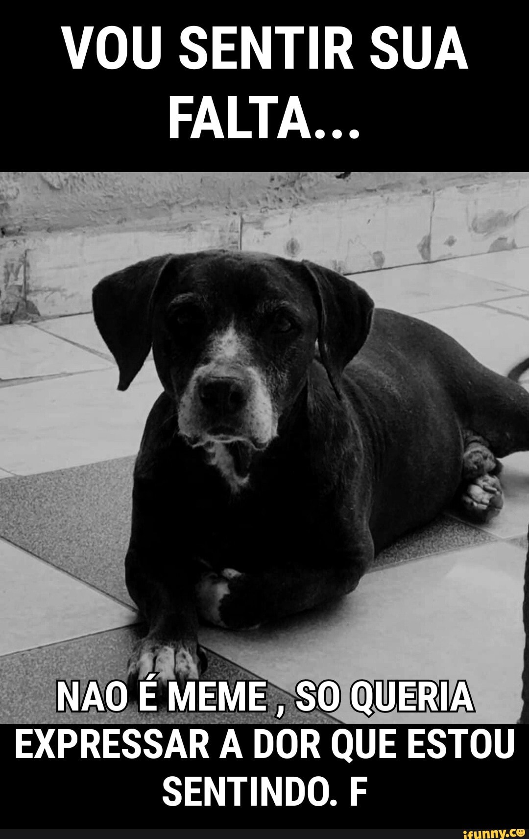 Vou Sentir Sua Falta Meme
