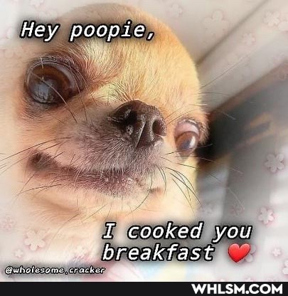 Hey poopie,
I cooked you breakfast