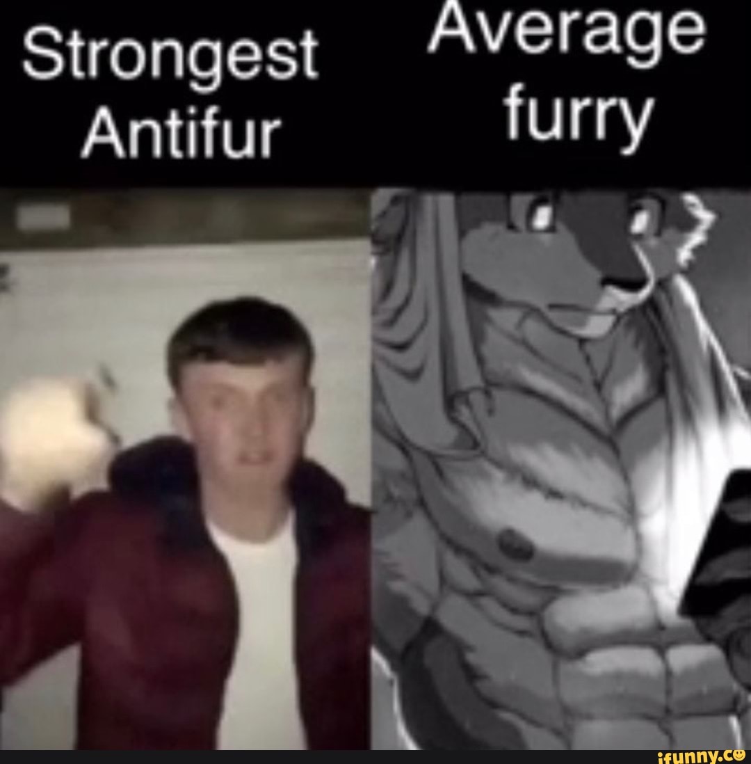 Strongest Average Antifur furry - iFunny