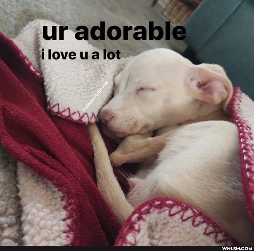 Ur adoral
iloveualot