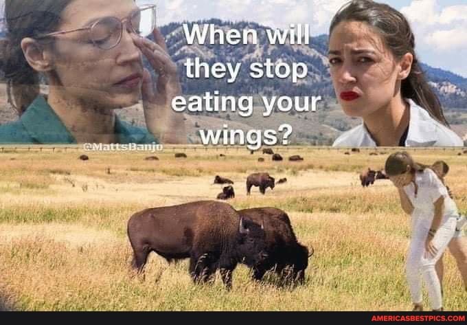 When will - they stop eating your wings?