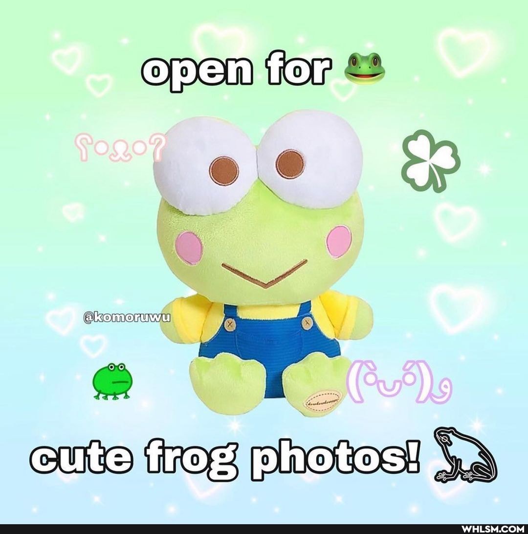 open
tor
cute frog photos!