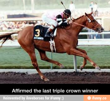 Affirmed the last triple crown winner