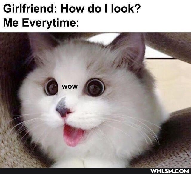 Girlfriend: How do look?
Me Everytime: