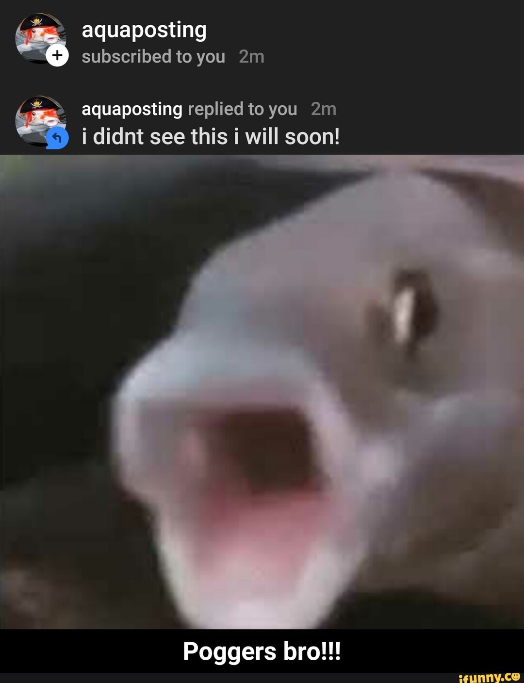 ==> aquaposting replied to you 2m
i didnt see this i will soon!
Poggers bro!!! - Poggers bro!!!
