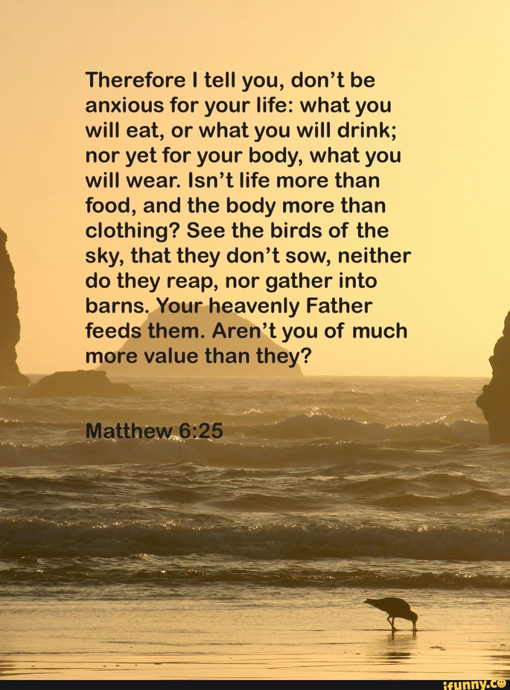 Therefore I tell you, don't be anxious for your life: what you will eat, or what you will drink; nor yet for your body, what you will wear. Isn't life more than food, and the body more than clothing? See the birds of the sky, that they don't sow, neither do they reap, nor gather into barns. Your heavenly Father feeds them. Aren't you of much more value than they?
