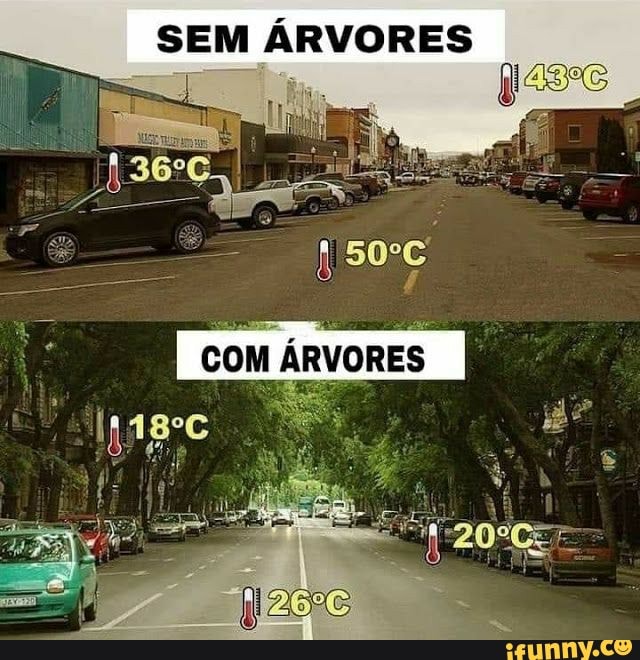 SEM ÁRVORES
COM ÁRVORES