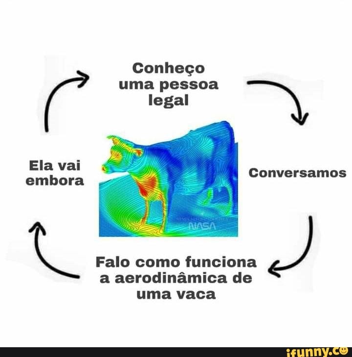 Conheço uma pessoa legal
Ela vai
embora Conversamos
Falo como funciona a aerodinâmica de uma vaca