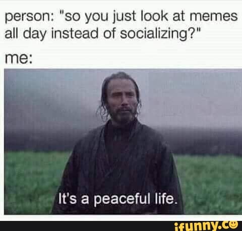 person: "so you just look at memes
all day instead of socializing?"
It's a peaceful life.