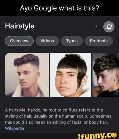 Ayo Google what is this? Hairstyle A hairstyle, hairdo, haircut or coiffure  refers to the styling