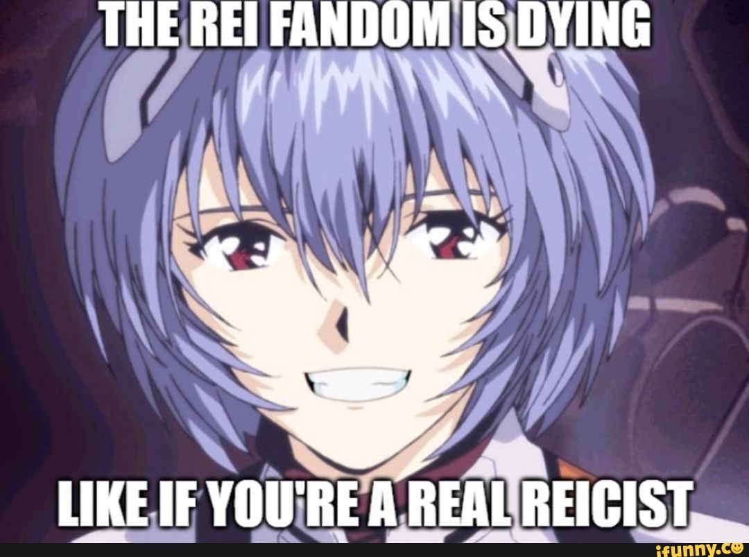 THE REI FANDOM IS DYING LIKE IF YOU'RE A REAL REICIST iFunny